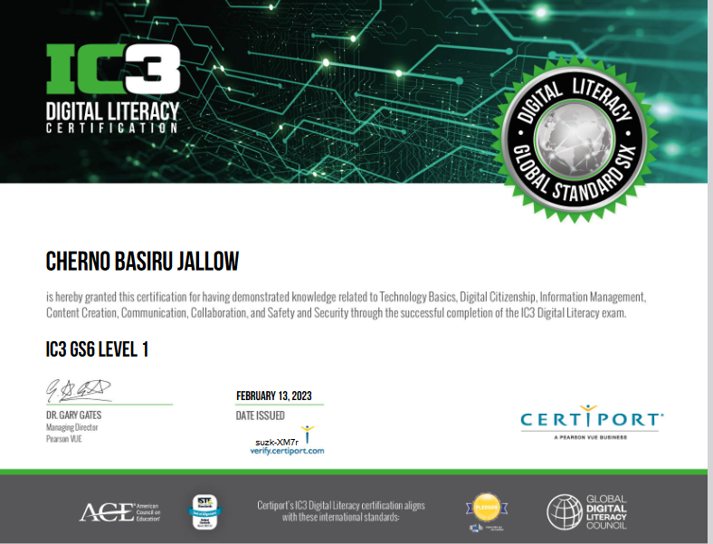 IC3 Digital literacy